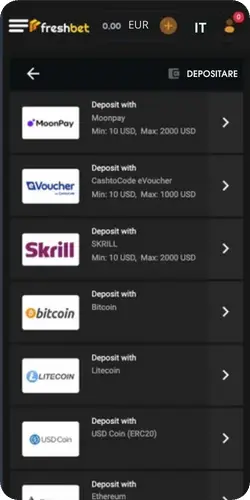 Metodi di pagamento Freshbet mostrati